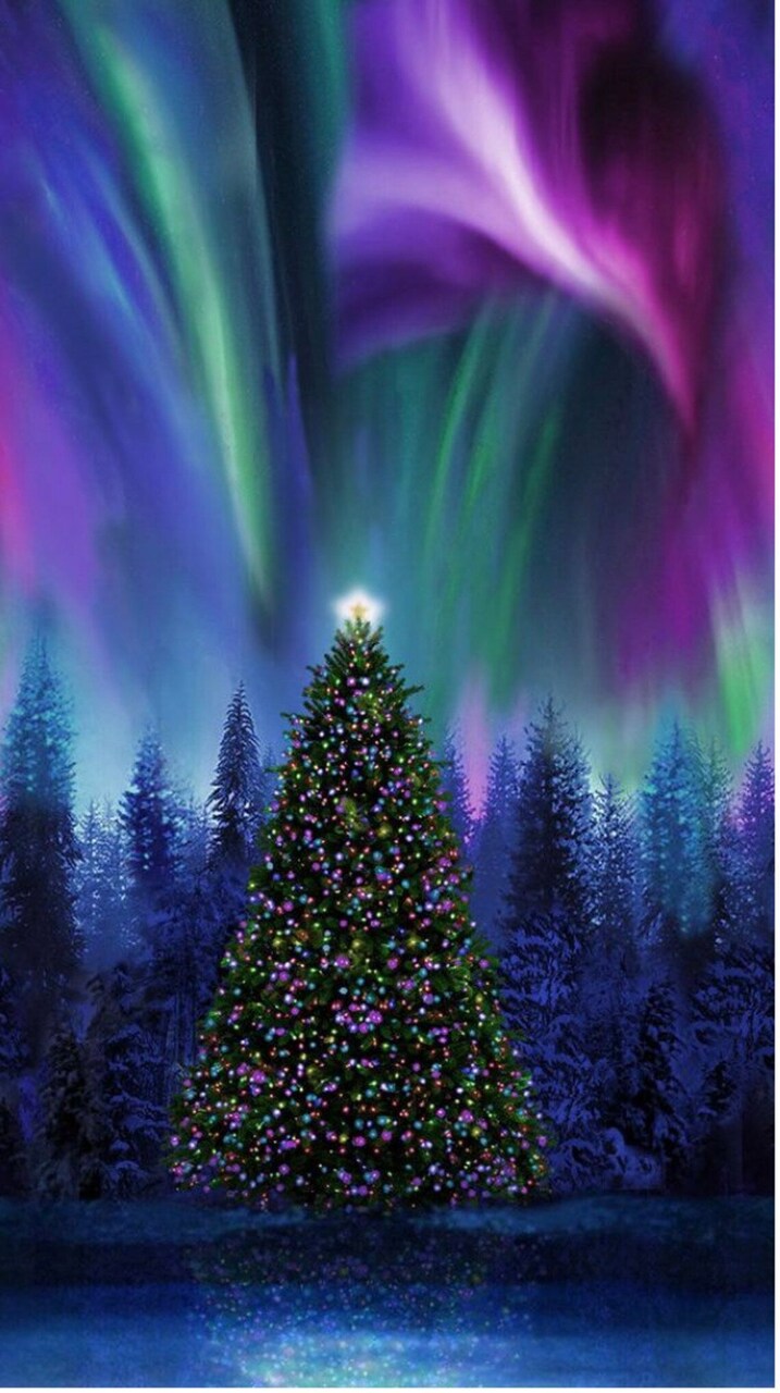 Timeless Treasures Christmas 24 x 42 Northern Lights Christmas Tree Panel 100% Cotton
